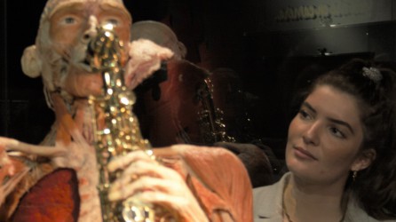 Body Worlds Header